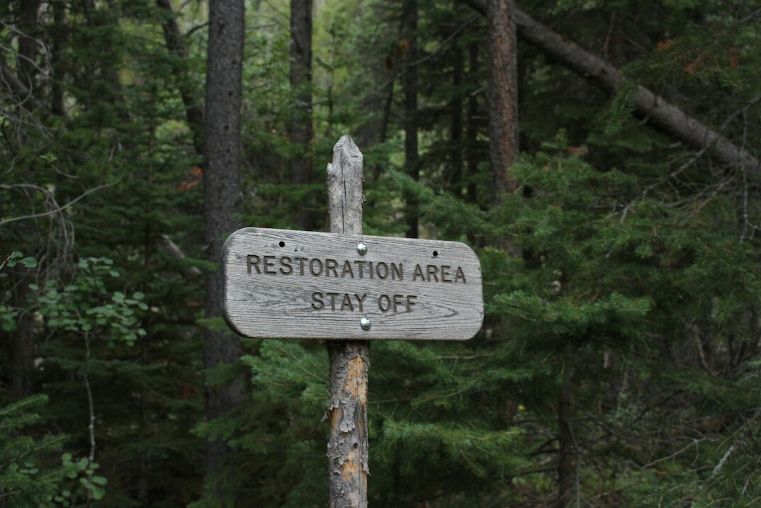 old wooden sign in forest